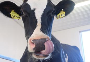USDA Reminds Dairy Producers of Nov. 20 Deadline