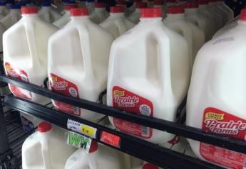 DT_Milk_Grocery_Store