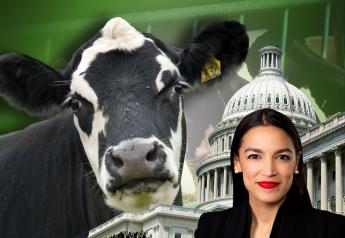 The Green New Deal Progressives Really Are Coming for Your Beef