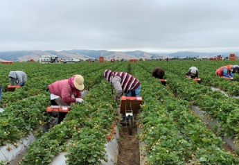 Farm labor report shows wages up 4%
