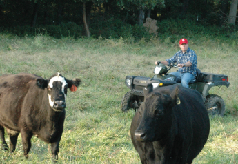 Livestock Producers Weigh In: ATVs, UTVs Or Both?