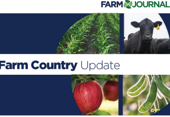 Farm Country Forum looks at COVID-19 food supply issues