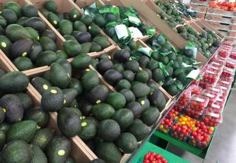 Coronavirus causes uncertainty with California avocado crop