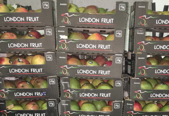 London Fruit debuts black box, adds to staff