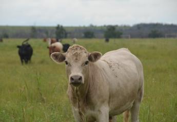 Now is the Time to Make Plans for Spring Pasture Management