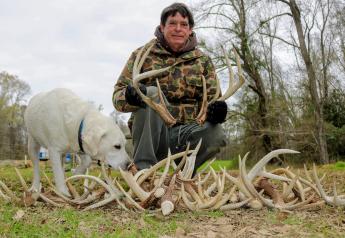 In the Blood: Hunting Deer Antlers with a Legendary Shed Whisperer