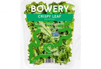 Bowery Farming introduces crispy leaf lettuce