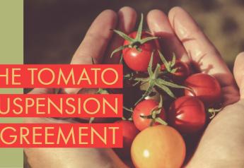 Distributors favor tomato suspension agreement 