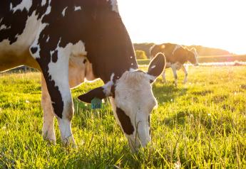 5 Tips to Keep Your Pasture Thriving