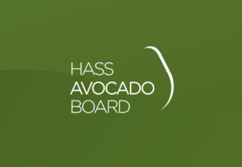 HAB research studies avocado nutrition benefits