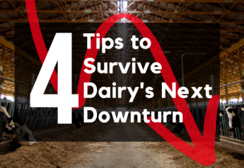 4 Tips to Prepare for Dairy’s Next Downturn