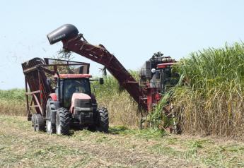 in this undated photo, a sugarcane harvester pushes through the crop in St. Martin Parish, Louisiana. While this crop is headed to a raw sugar factory, much of the Brazilian sugarcane crop heads to an ethanol plant. But the country is starting to embrace corn based ethanol.
