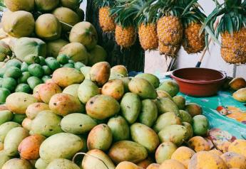Hispanic, Asian shoppers lead mango demand