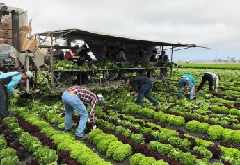 Labor continues to be an issue for California growers
