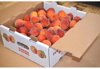 Sampling programs help introduce shoppers to Florida peaches, which are unique in that they are ripened on the tree.