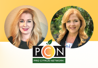 Christine Raymer (left) and Kim Flores have been hired as vice presidents by Pro Citrus Network. 