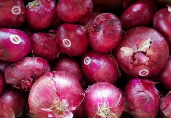 Red onions get a boost out of the Rio Grande Valley