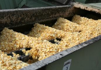 At lower levels, aflatoxins in cattle feed inhibit growth and feed efficiency. 