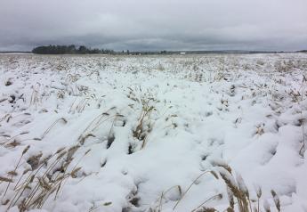 Snow Plagues Canadian Farmers In The Heat Of Harvest