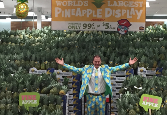 Just how big is the World's Largest Pineapple Display?