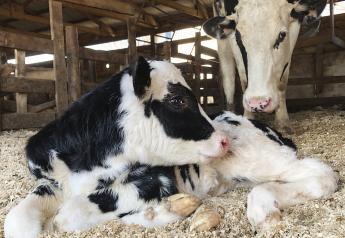 Colostrum Comes First