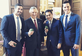 Peruvian celebration highlights avocados