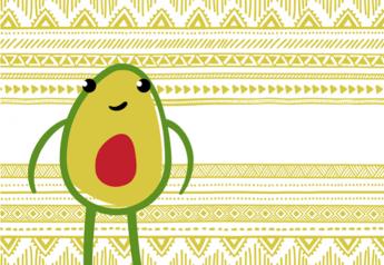 Peru’s avocado exports hit record