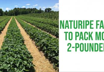 Naturipe Farms to pack more 2-pounders