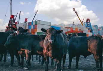 Commentary: Beef Checkoff: Exports & Imports Bring Value to Industry