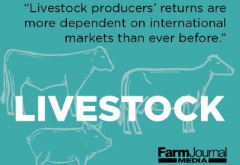 2019 Livestock Outlooks: Trade, Supplies and Demand Need to Align