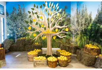 Opal apple ‘orchard’ opens in New York