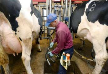 Dean Curtis milks some of his 150 dairy cows on at Curtis Farms in Venango Township, Erie County, Pa.