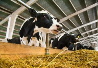 Heat stress can have significant effects on both milk volume and component production.
