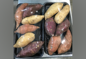 Southern Sweet Potatoes 2018 business updates
