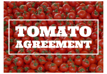 Tomato agreement, drought questions linger for Mexican suppliers