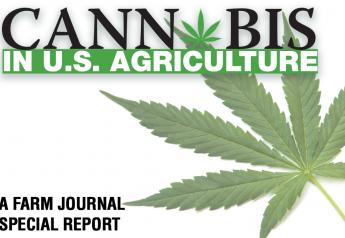 From PORK: Cannabis in U.S. Agriculture