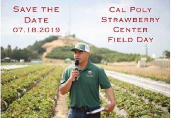 Cal Poly Strawberry Center to host annual field day