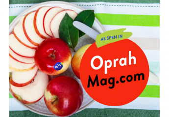 Oprah’s online magazine gives kudos to Jazz apples
