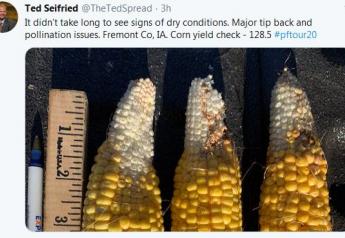 200-Plus Bu. Corn In Parts Of Western IL, SW IA Crop 'Hit And Miss'
