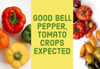 Good bell pepper, tomato crops expected