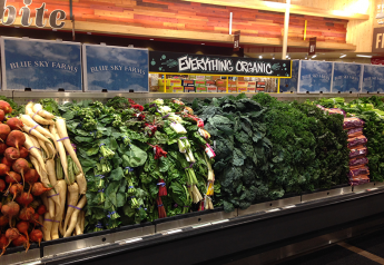 Organic produce enjoys strong Bay area demand
