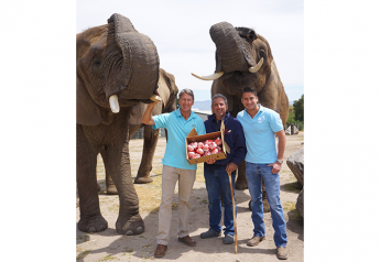 Christopher Ranch is donating $1 for each box of elephant garlic sold to support Elephants of Africa Rescue Society.