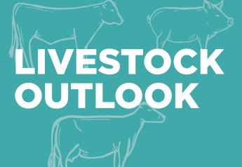 Livestock farmers are facing a combination of headwinds and tailwinds—as well as a lot of unknowns.