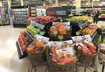 Report: Supermarkets can move beyond plastics