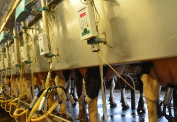 Shorten Milk Hoses to Improve Vacuum Level