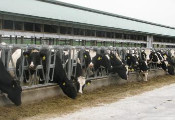 Raising replacement heifers is a significant expense for most dairy farms, ranking in the top tier of annual costs. But it’s also a necessary one, to ensure the future and genetic advancement of the herd. 
