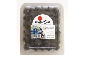 Magic Sun offers imported blueberries, with plans to double crop