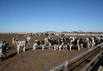 While pathogen exposure, environment and diet are similar, some of these cattle will contract BRD while others remain healthy, suggesting a genetic component to susceptibility or resistance.