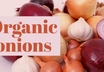 Organic onion deal small but steady