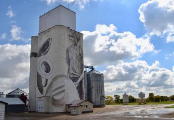 110’ Mural Covers Local Elevator From Top To Bottom